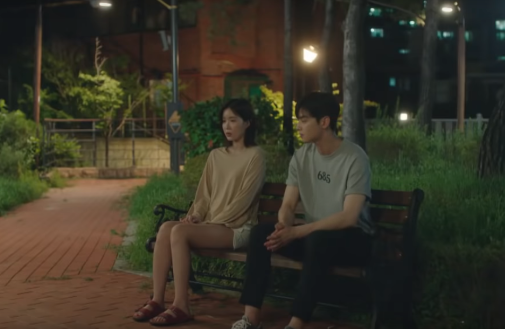 私のidはカンナム美人 全話あらすじ ネタバレ 相関図 キャスト 感想 まるわかり